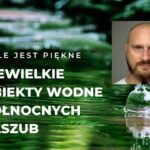 Adrian Cirocki – Mistrz Polski z… Gościęcina