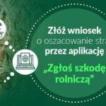 Jest decyzja środowiskowa dla budowy linii 400 kV Choczewo-Żarnowiec…