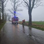 Drzewo powalone na drogę gminną w Osiekach Lęborskich [zdjęcia]