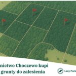 Droga krajowa do elektrowni jądrowej – stan realizacji…
