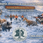 Zimowe polowania w Nadleśnictwie Choczewo: jak bezpiecznie korzystać z lasu? 
