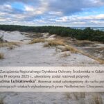 W lipcu br popłynie pierwszy prąd z morskiej farmy wiatrowej „Baltic Power”